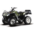 300cc Quad-1